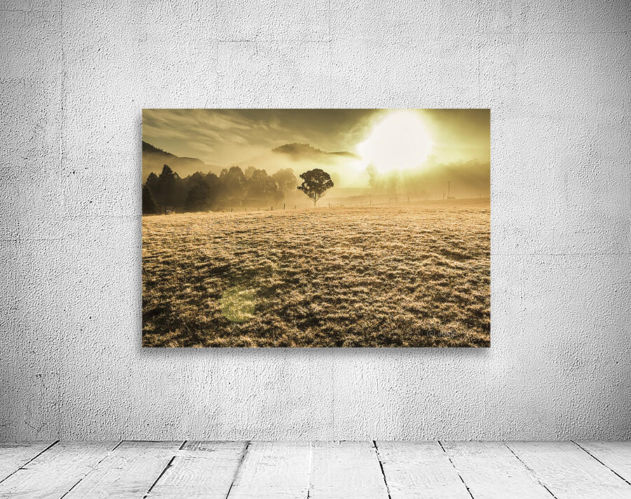 Enigmatic grassland Wall Preview