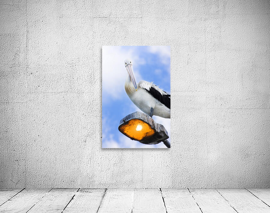 Peace And Balance Wall Preview