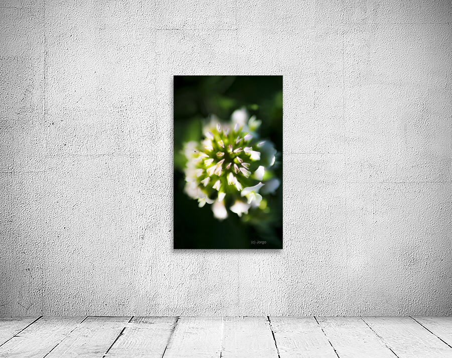 Blooming Flora Wall Preview