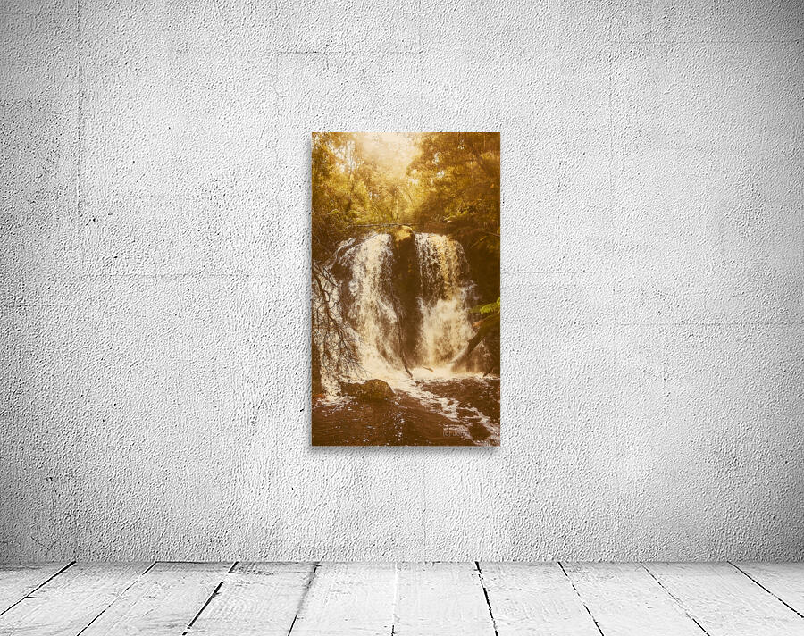 Wonder Fall Wall Preview