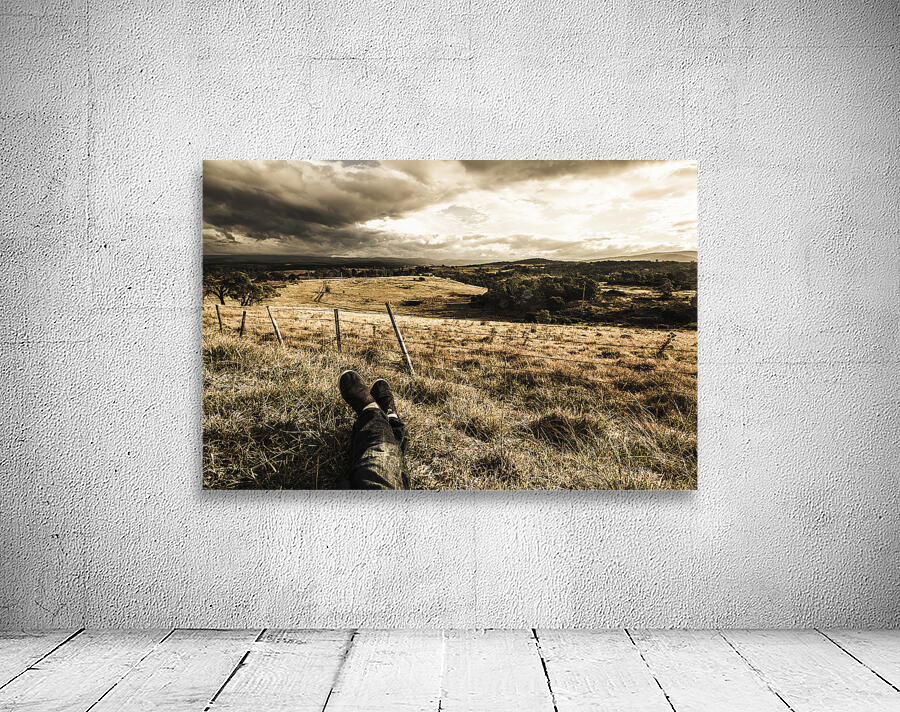 Holiday in Tasmania Wall Preview