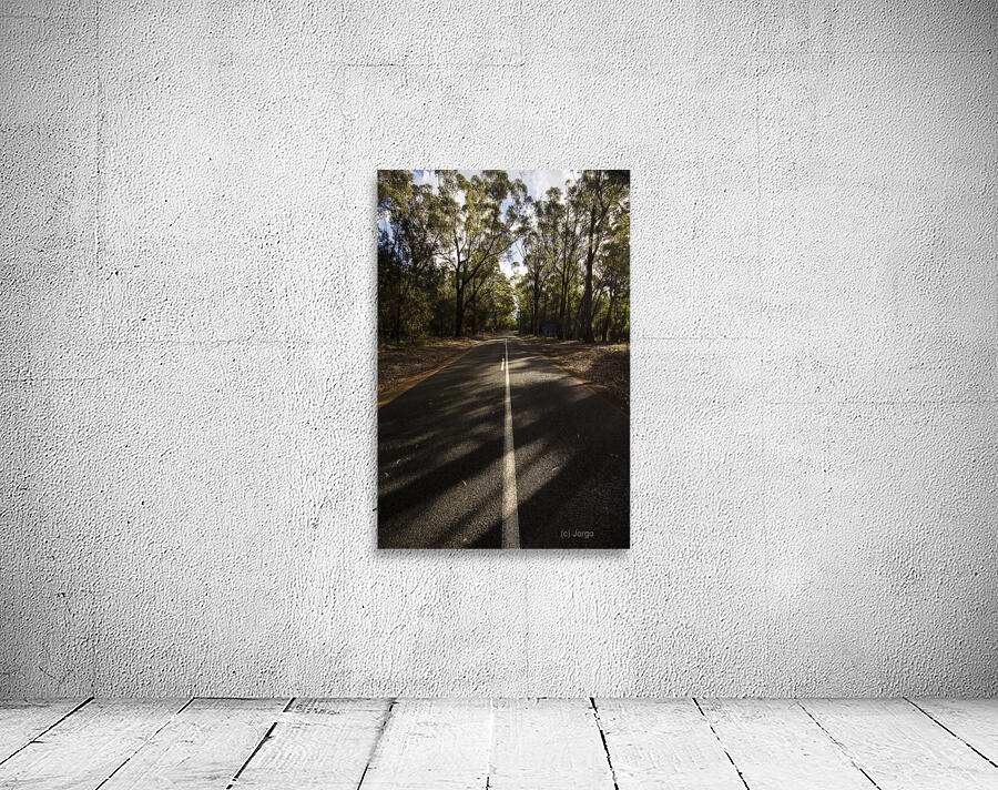 Forestry road landscape Wall Preview