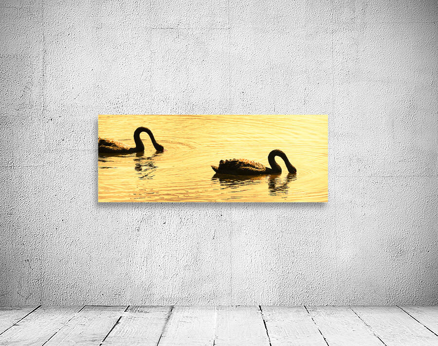 Duck Duck Swan Wall Preview