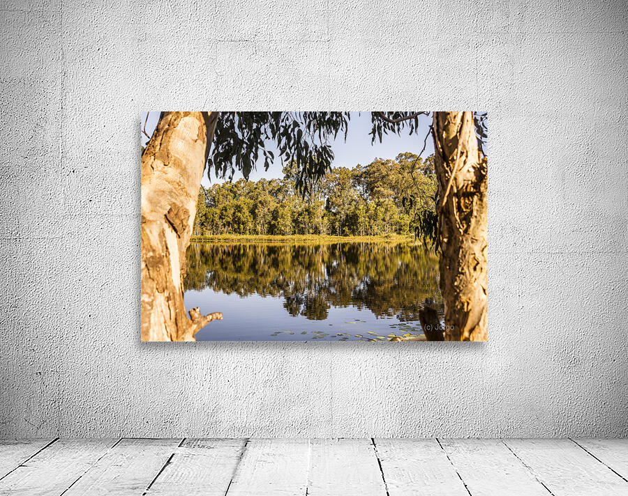 Lake wonders Wall Preview