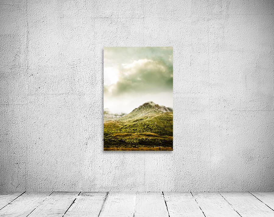 Temperate alpine terrain Wall Preview