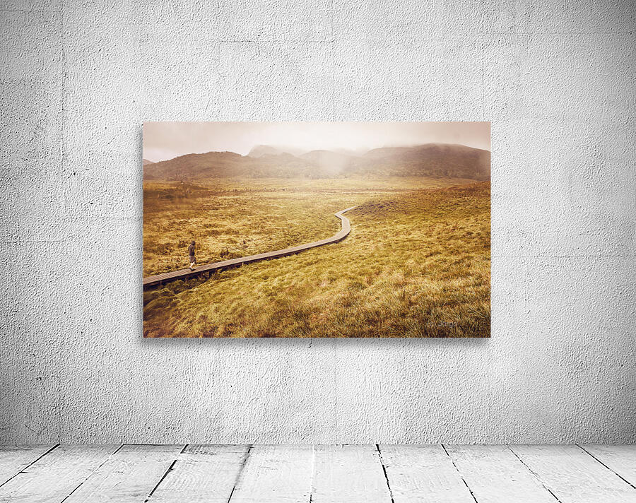 Man on expedition along Cradle Mountain Boardwalk Wall Preview