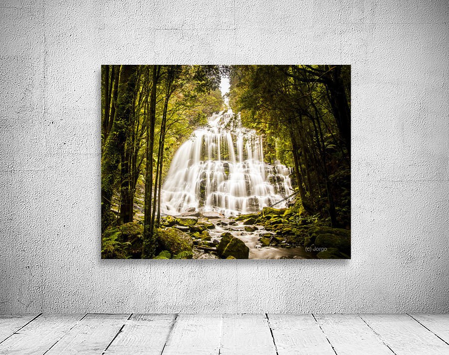 Tasmanian Waterfalls Wall Preview