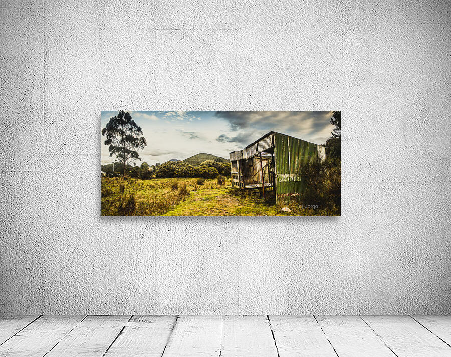 Rural abandoned shed in old rural countryside Wall Preview