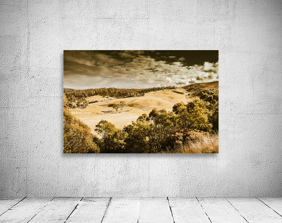 Fields of Jericho Wall Preview