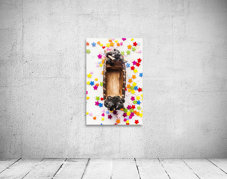 Bears boats and buttons Wall Preview