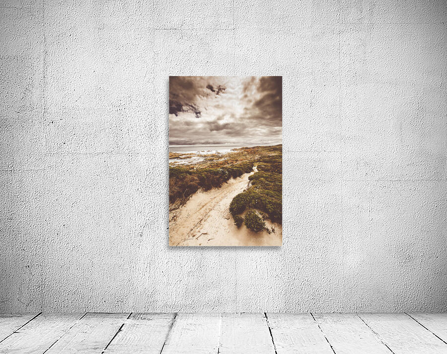 Pathways to seaside paradise Wall Preview