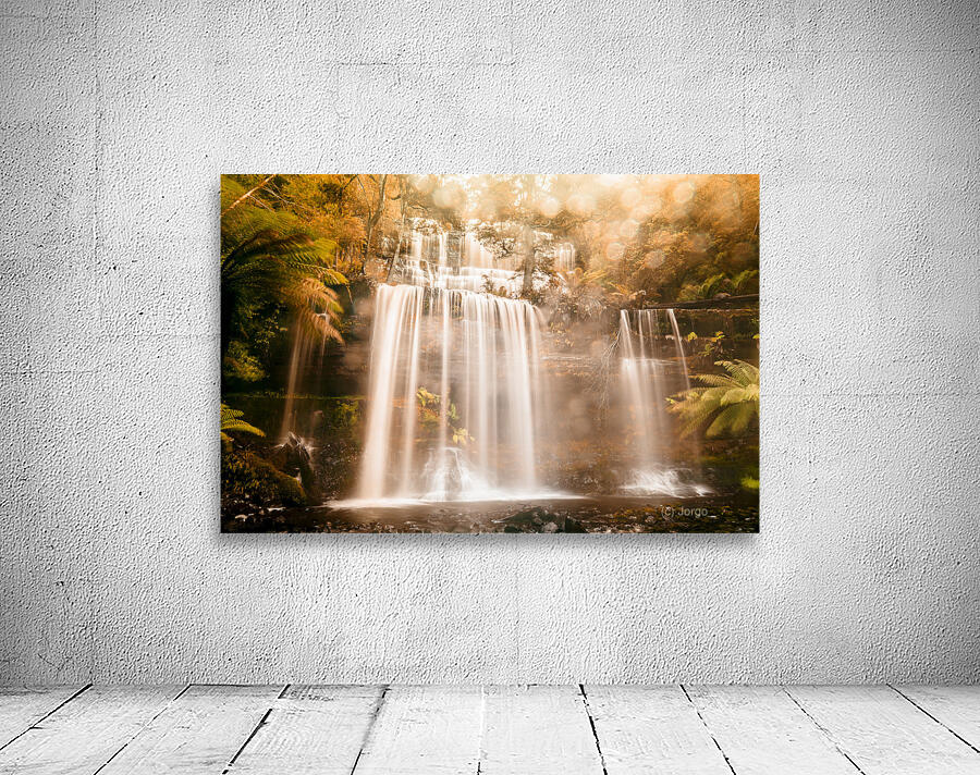 Fall of autumn  Wall Preview