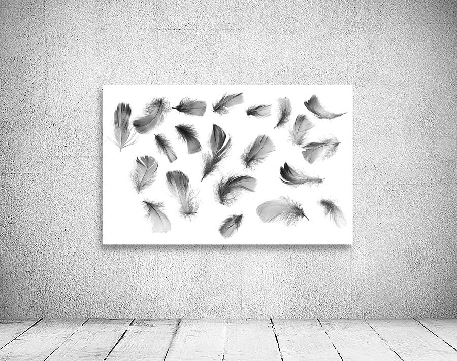 Airy convergence Wall Preview