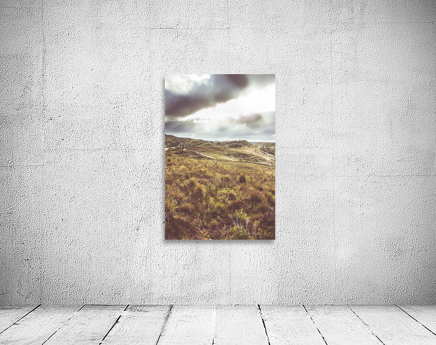 Afternoon pastures  Wall Preview