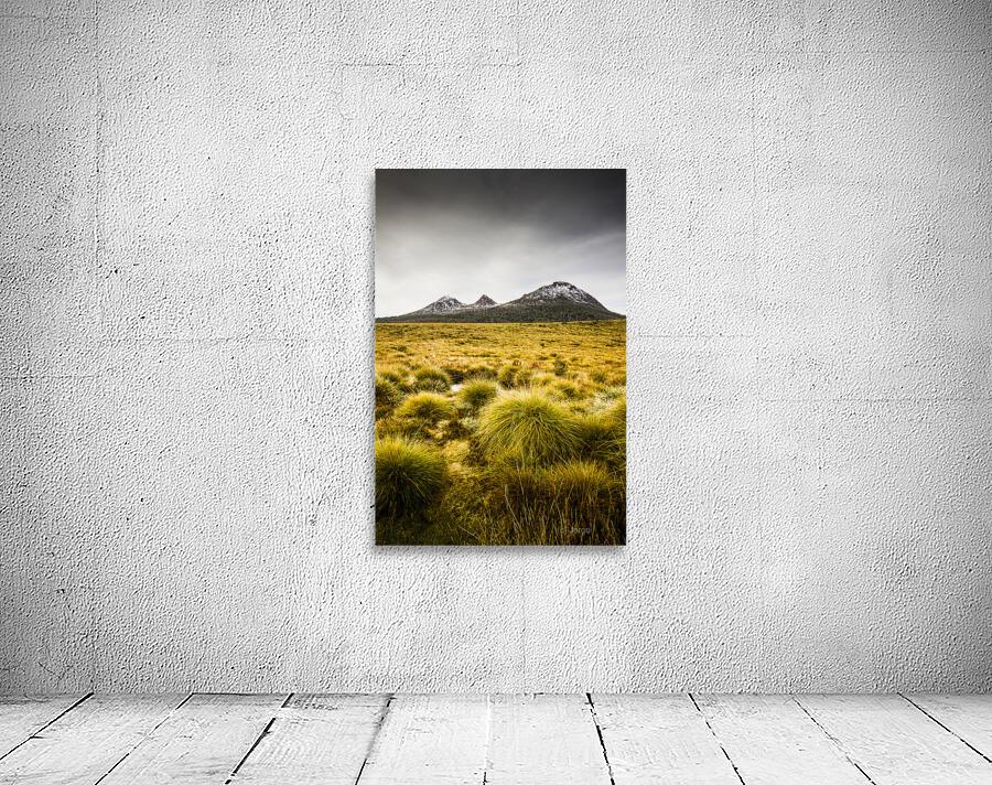 Snowy Tasmania mountain top Wall Preview