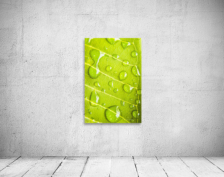 Summer rain Wall Preview