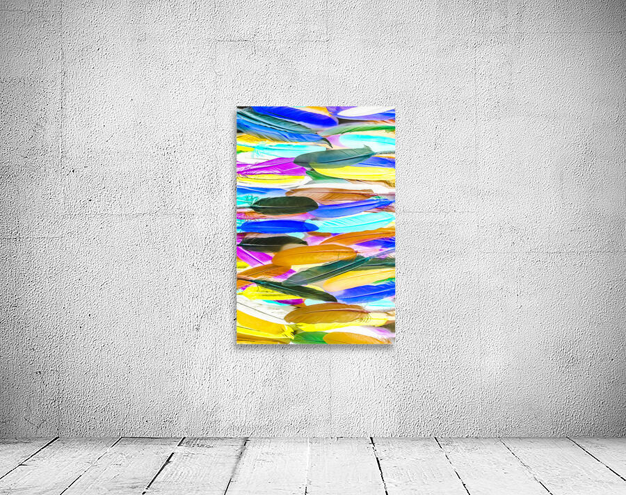 Color Novella Wall Preview