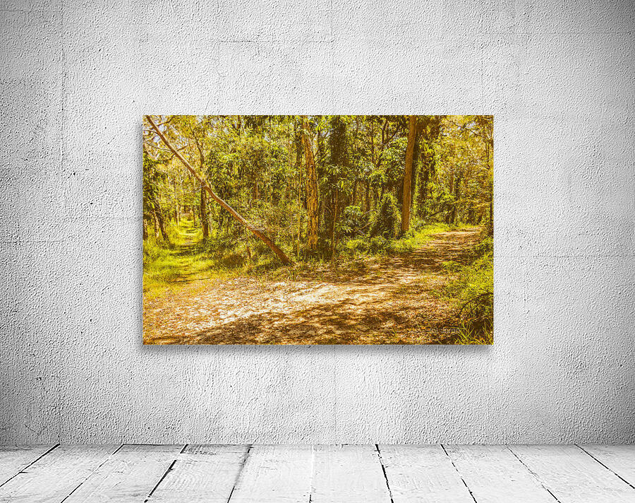 Choose your own adventure Wall Preview