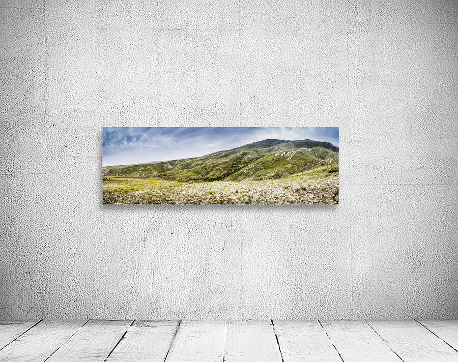 Mount Agnew landscape in Tasmania Wall Preview