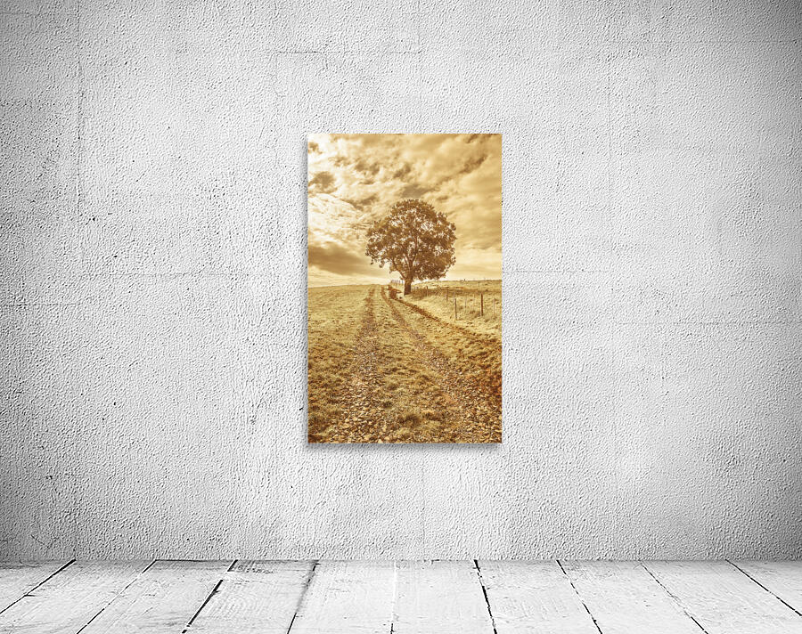 Tasmania farm sunrise Wall Preview