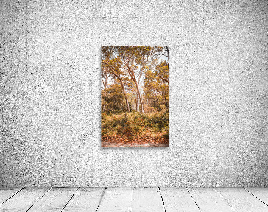 Autumn gold Wall Preview