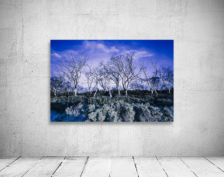 Dark scene from scary dreams Wall Preview