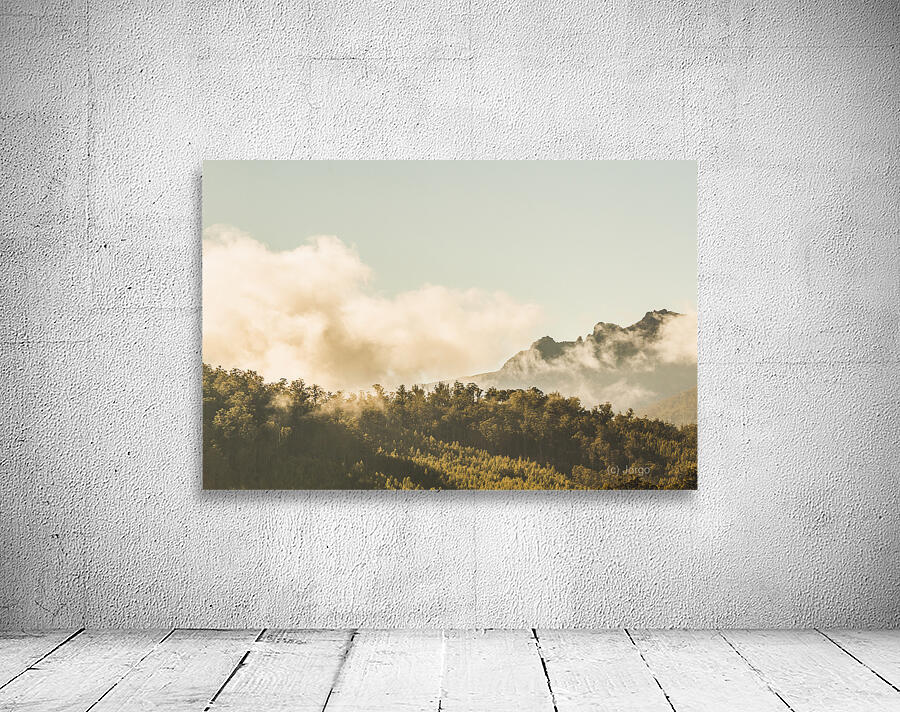 Wild morning peak Wall Preview