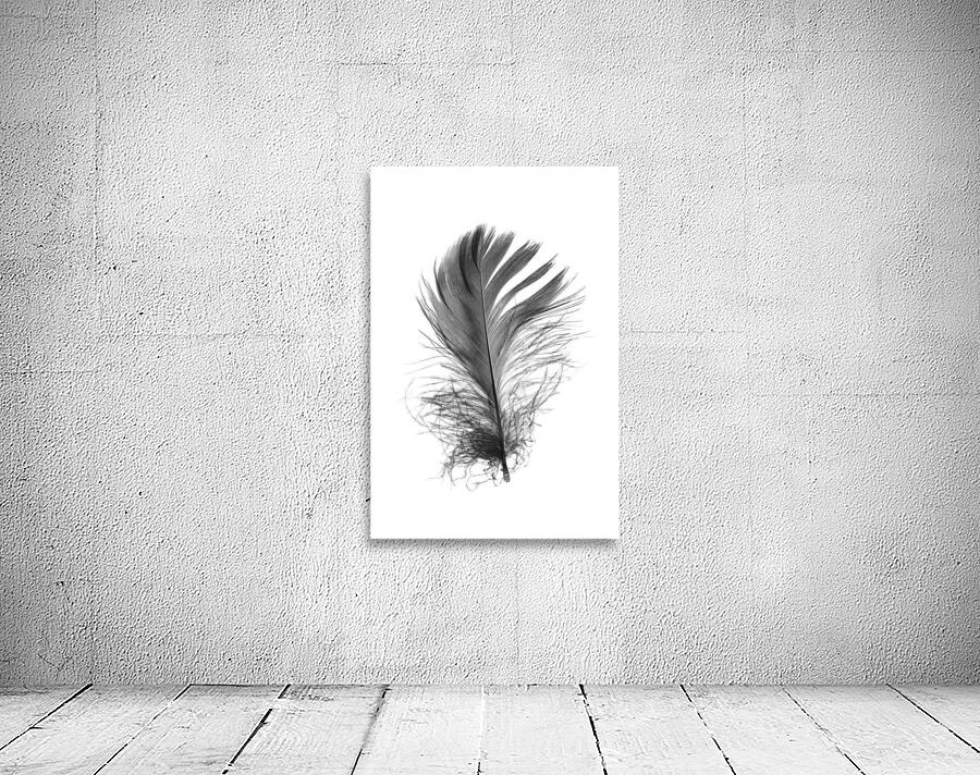 Feathermin Wall Preview