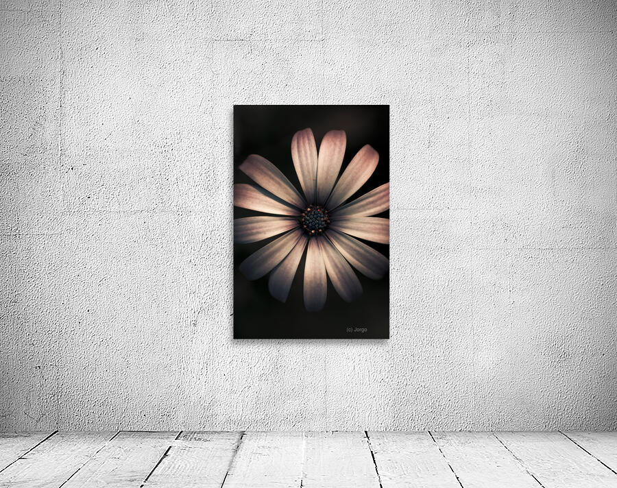 Dark Flower Wall Preview