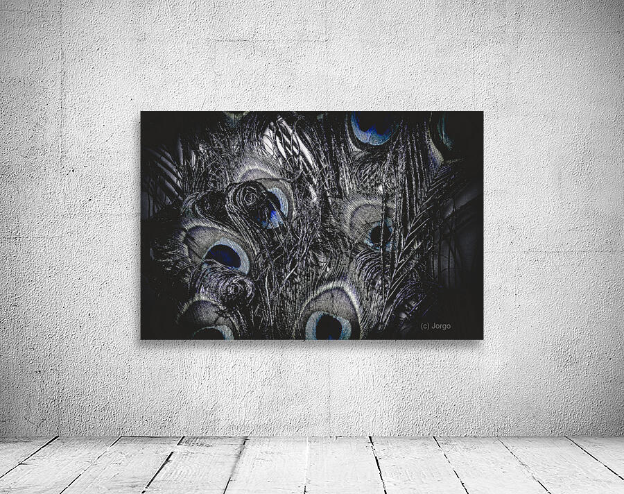 Dark blue peacock feathers  Wall Preview