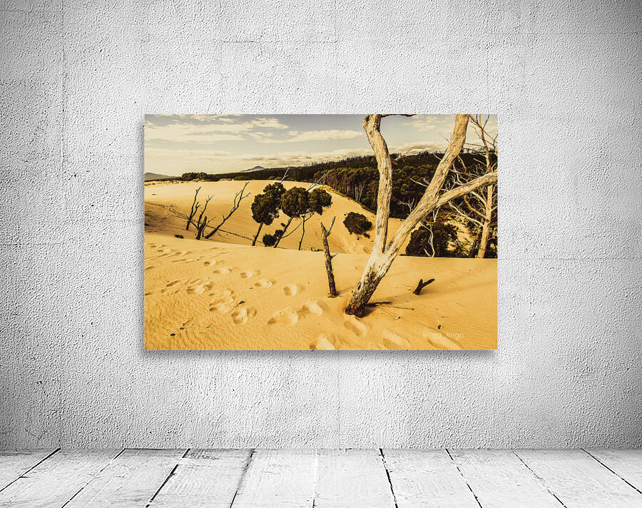 Strahan sand dune landscape Wall Preview