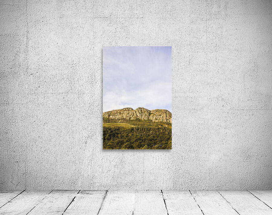 Scenic view of Mount Ferrell in Tullah Tasmania Wall Preview