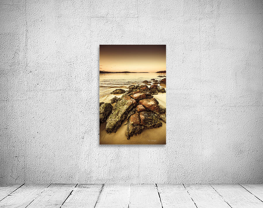 Oceanic harmony Wall Preview