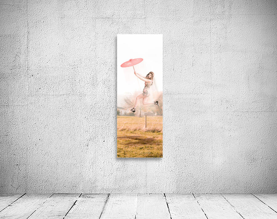 Sky Dance Wall Preview