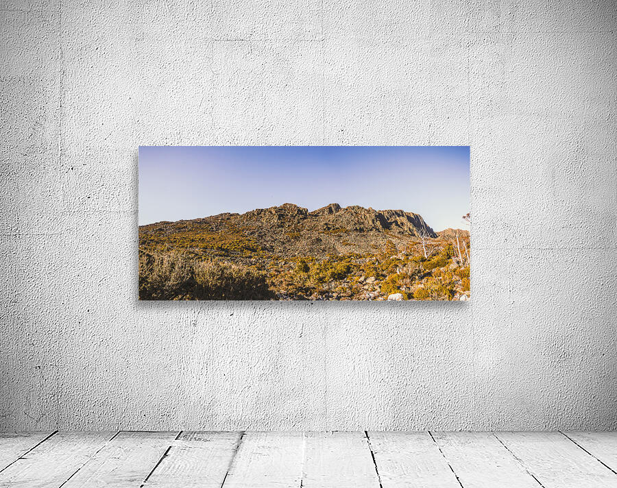 Arid Australian panoramic Wall Preview