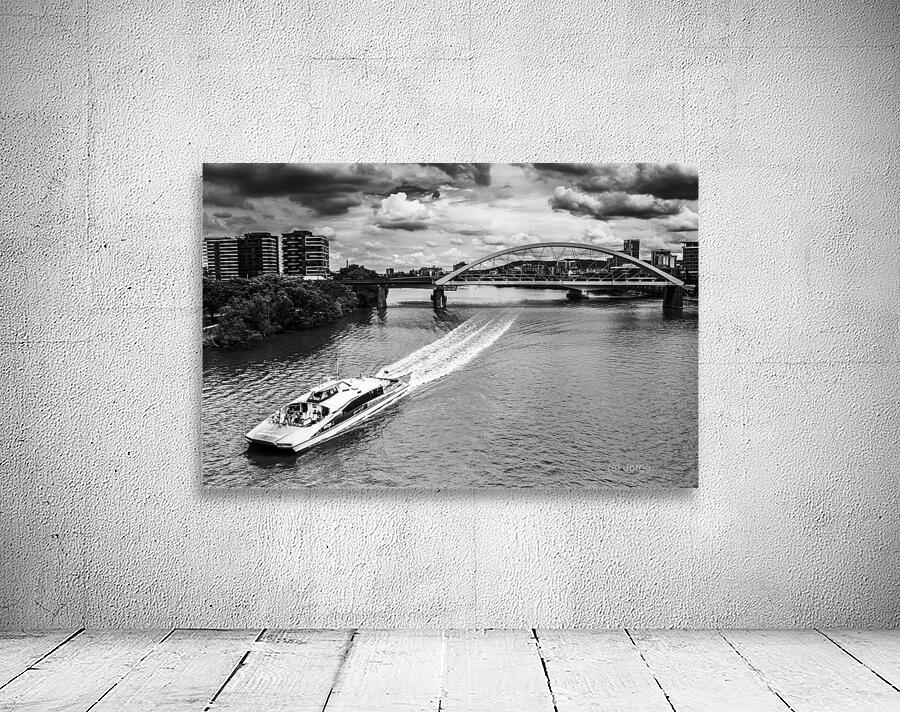 Brisbane river Wall Preview