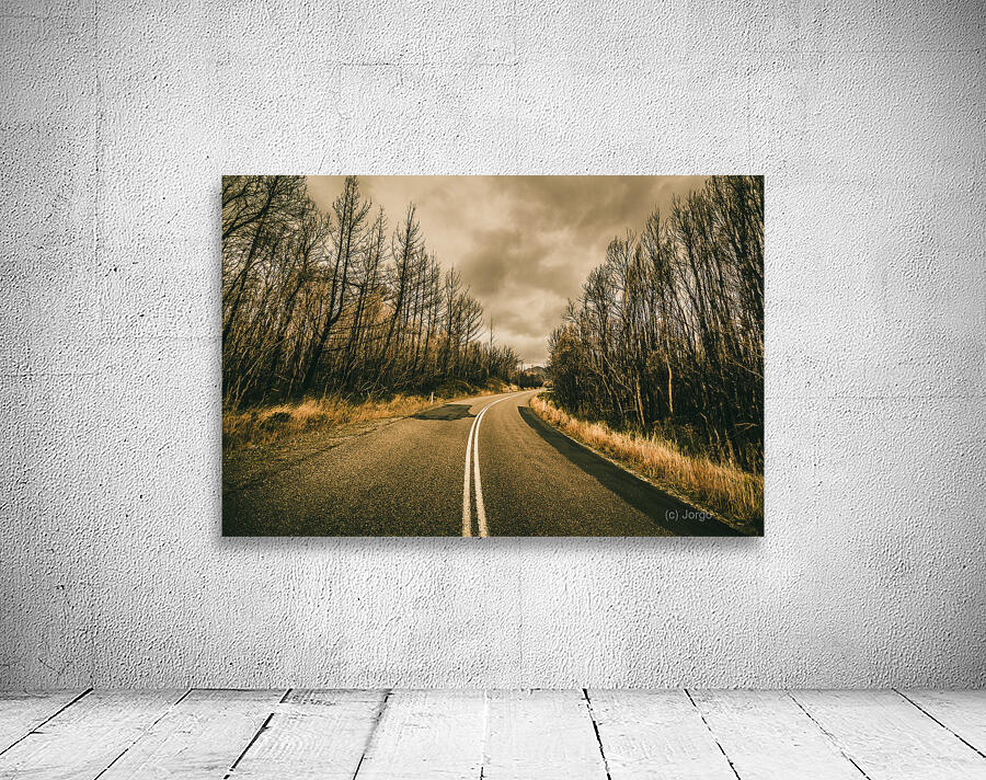 In winters way Wall Preview