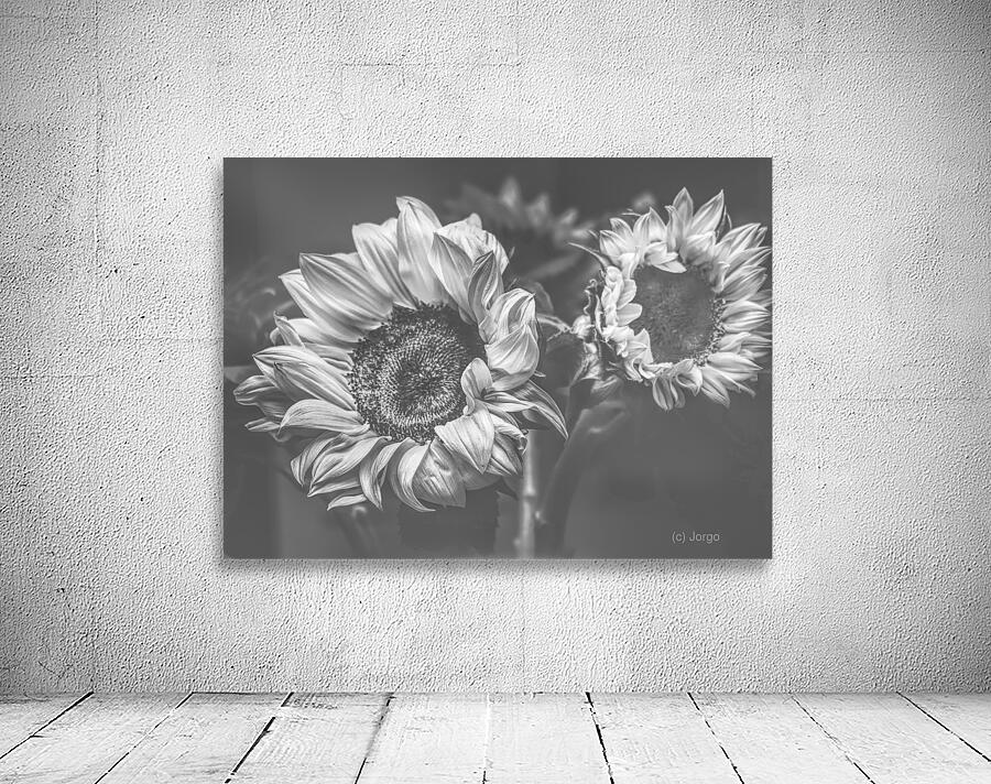 Summer nostalgia Wall Preview