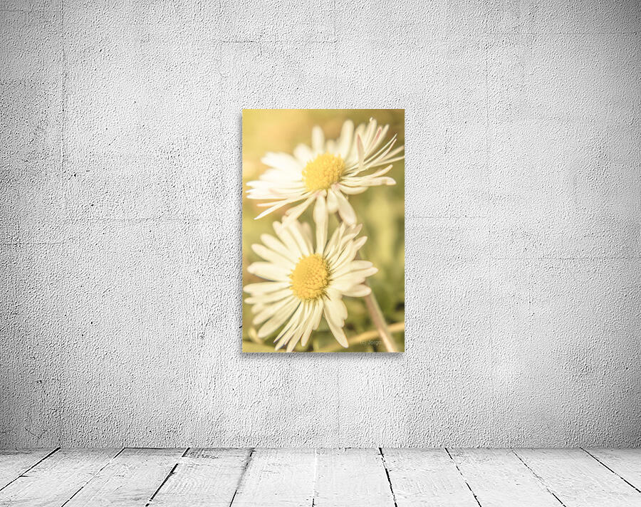 Inseparable  Wall Preview