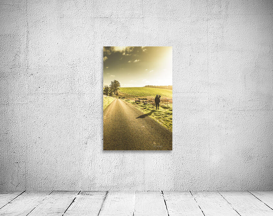 The wander Wall Preview