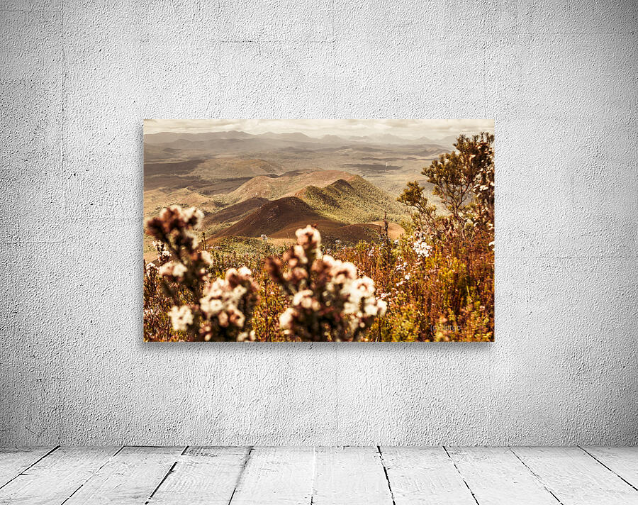 Spring mountain blossoms Wall Preview