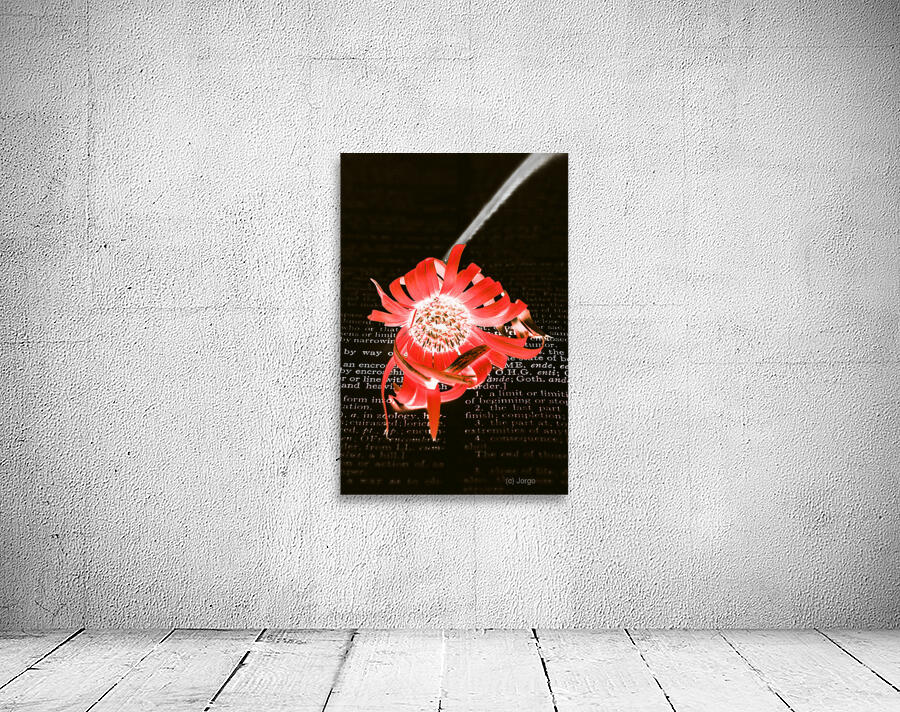 Inversion to the mean Wall Preview