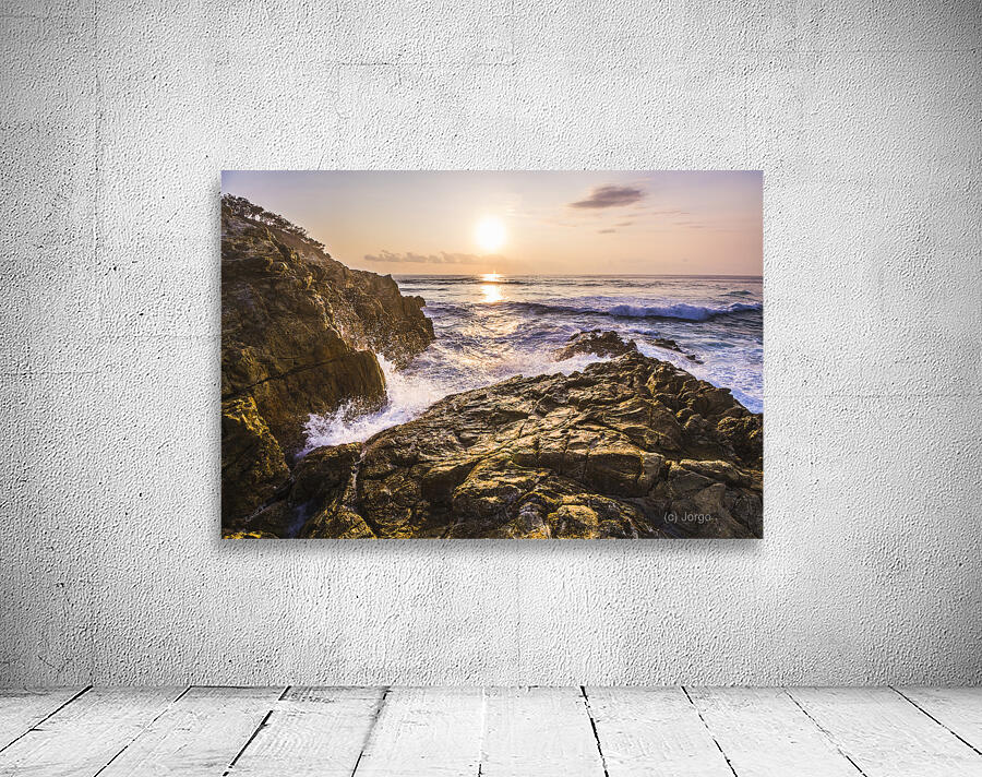 Sea splendor Wall Preview