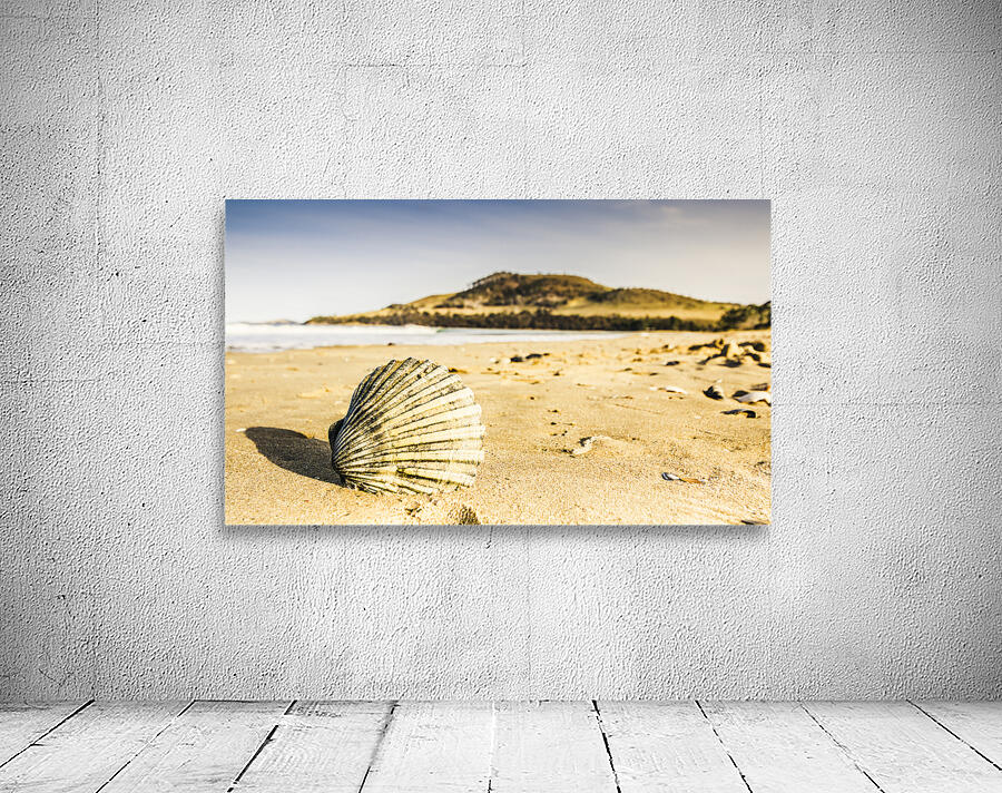 Seven Mile Beach Wall Preview