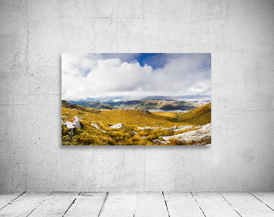 A range of colours Wall Preview