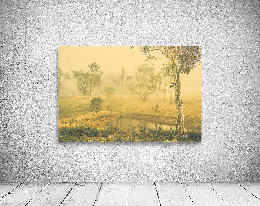 Mystical lake Wall Preview