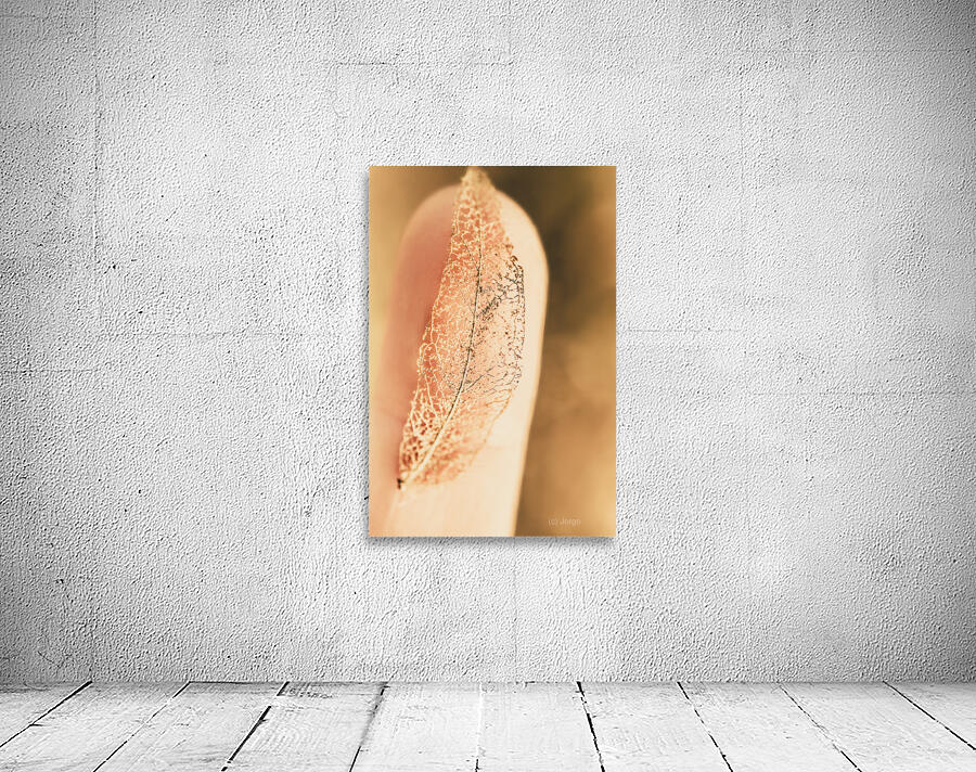 Autumn fragility Wall Preview