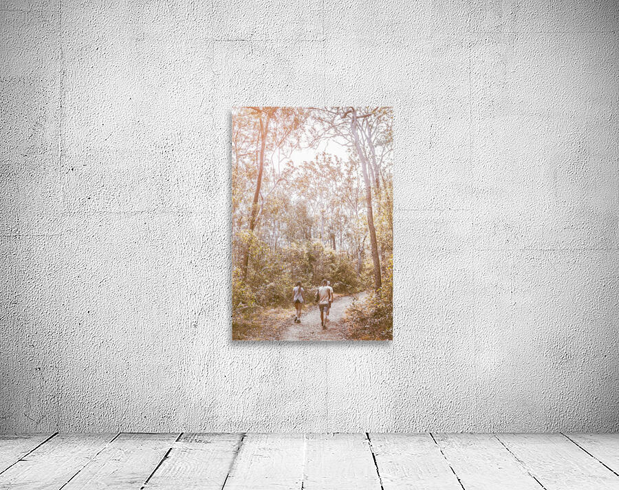 Touring Mt Walsh National Park Wall Preview