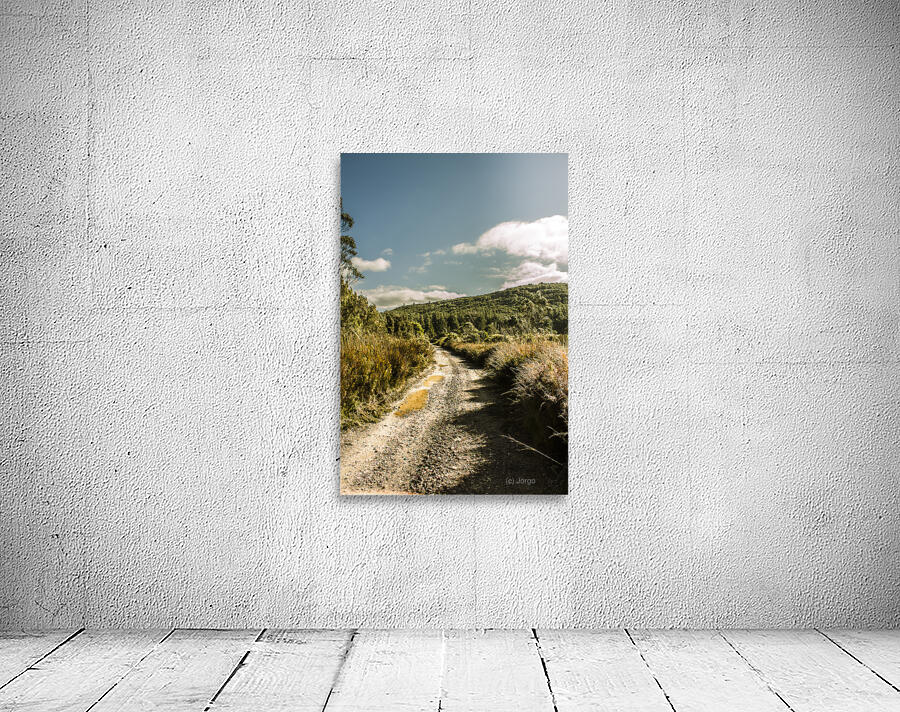 Zeehan dirt road landscape Wall Preview