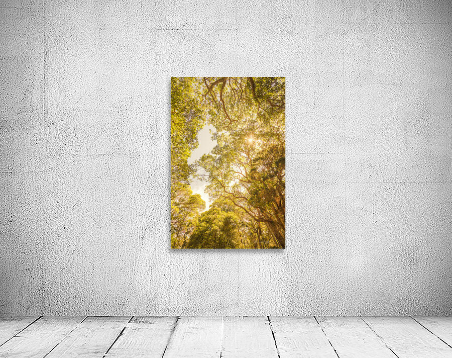 Up and away Wall Preview